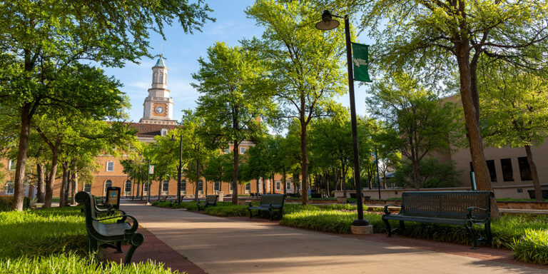 UNT Alumni Association announces newest board of directors, officers ...